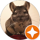 齧歯類さん profile picture