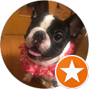 ぴよぴよの profile picture